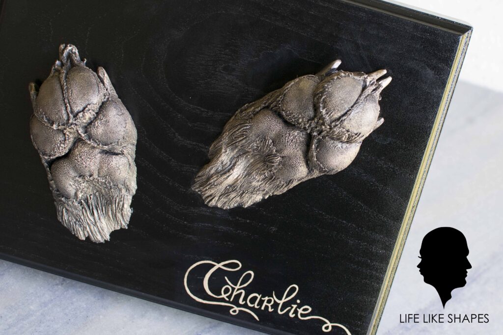 bronzen-beelden-3D-pootafdruk-paw-cast-life-cast-sculptuur-beeld-hond-herdershond-Life-Like-Shapes-Esther-Hamels